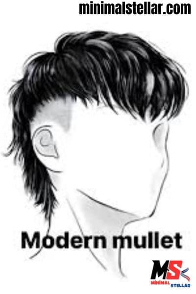 Modern Mullet