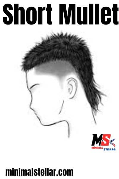 Short Mullet